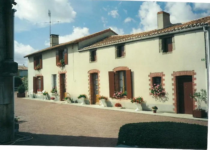 No 5
